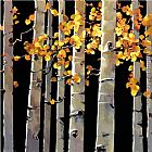 Aspen Grove I by Michael O'Toole